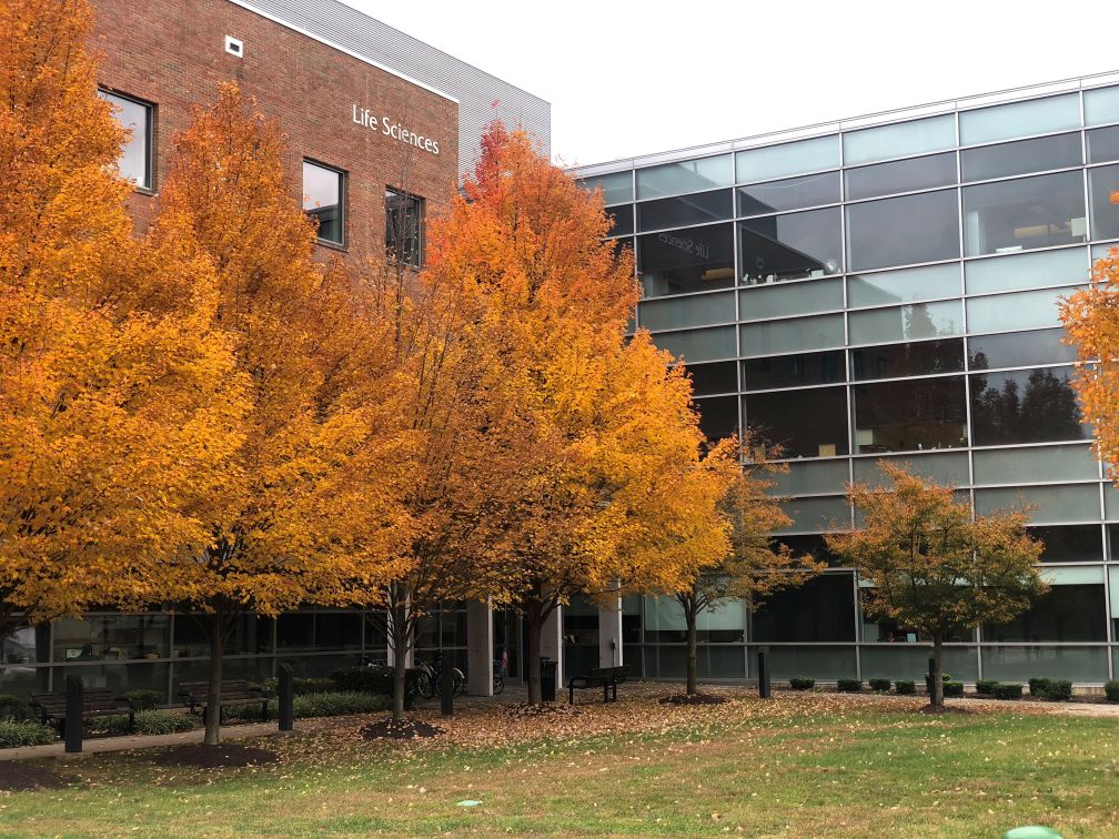 LifeScienceBuilding Fall