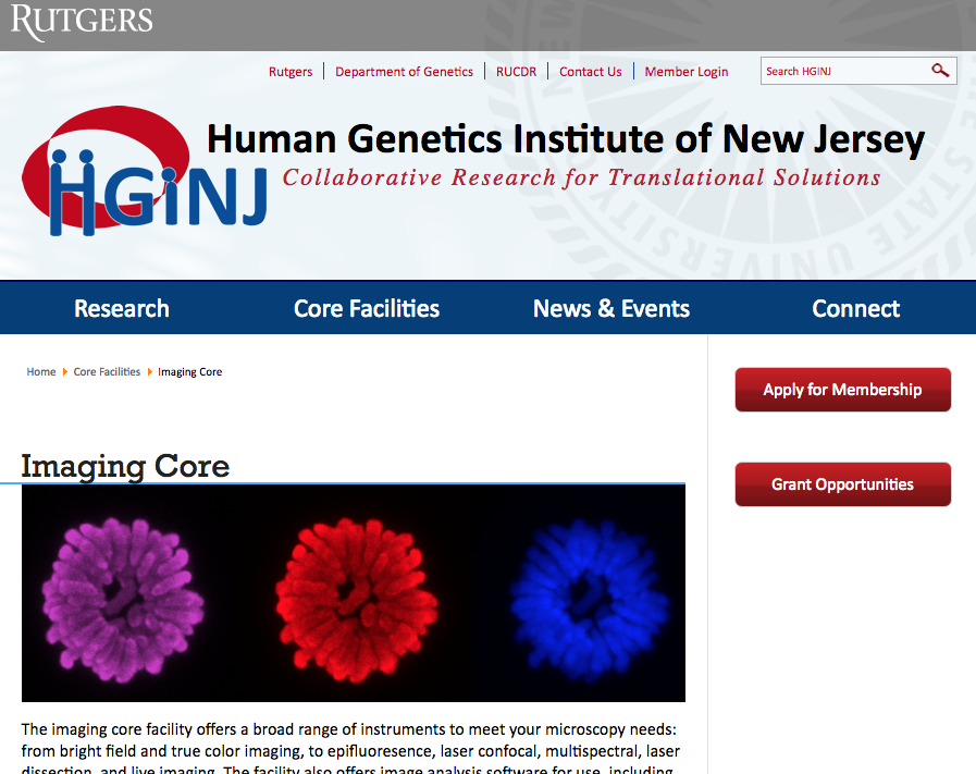 HGINJ imaging screen